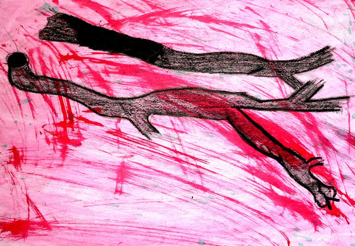 Branches